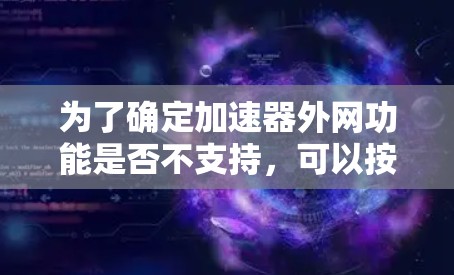 为了确定加速器外网功能是否不支持，可以按照以下步骤操作
