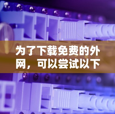 为了下载免费的外网，可以尝试以下方法