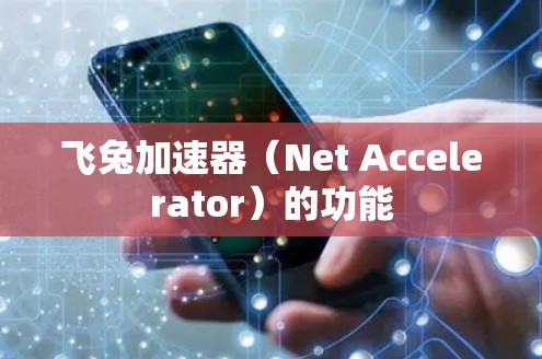 飞兔加速器(Net Accelerator)的功能 飞兔加速器(Net Accelerator)的功能