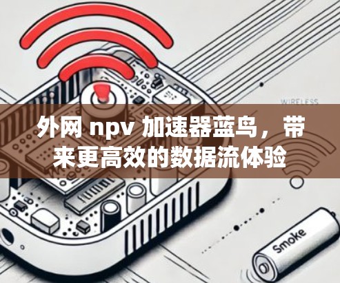 外网 npv 加速器蓝鸟,带来更高效的数据流体验 外网 npv 加速器蓝鸟,带来更高效的数据流体验