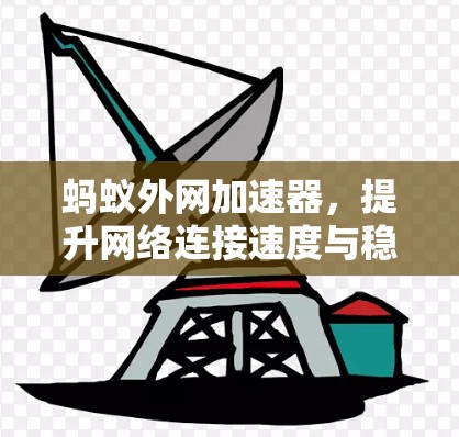 蚂蚁外网加速器，提升网络连接速度与稳定性的新解决方案