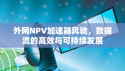 外网NPV加速器风驰,数据流的高效与可持续发展 外网NPV加速器风驰,数据流的高效与可持续发展