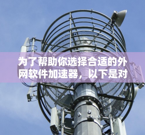为了帮助你选择合适的外网软件加速器，以下是对不同工具的总结和建议