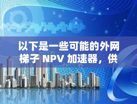 以下是一些可能的外网梯子 NPV 加速器，供您参考