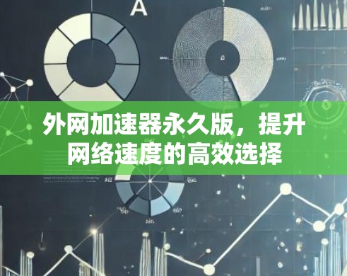 外网加速器永久版,提升网络速度的高效选择 外网加速器永久版,提升网络速度的高效选择