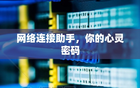 网络连接助手,你的心灵密码 网络连接助手,你的心灵密码