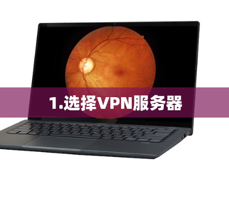 1.选择VPN服务器 1.选择VPN服务器