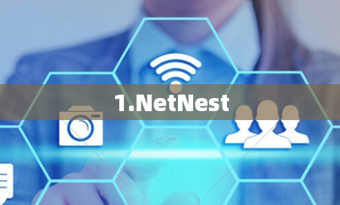 1.NetNest 1.NetNest