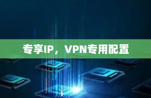 专享IP，VPN专用配置
