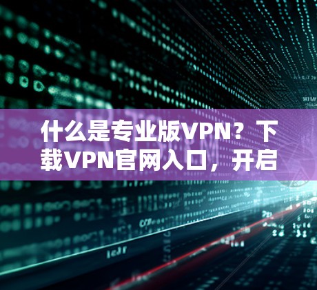 什么是专业版VPN？下载VPN官网入口，开启你的VPN之旅