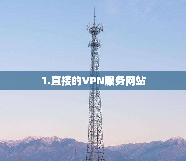 1.直接的VPN服务网站
