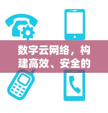 数字云网络，构建高效、安全的VPN直播生态系统