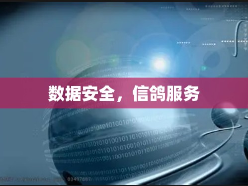 数据安全,信鸽服务 数据安全,信鸽服务