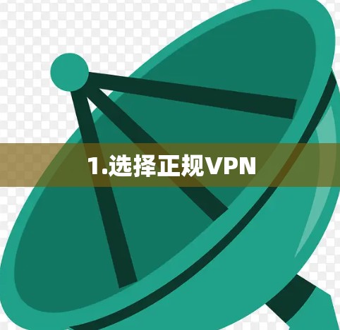 1.选择正规VPN 1.选择正规VPN
