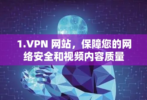 1.VPN 网站，保障您的网络安全和视频内容质量