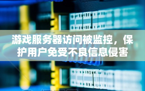 游戏服务器访问被监控,保护用户免受不良信息侵害 游戏服务器访问被监控,保护用户免受不良信息侵害