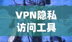 VPN隐私访问工具是保护用户隐私和数据安全的重要技术。以下是对该技术的系统总结