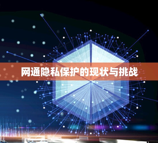 网通隐私保护的现状与挑战