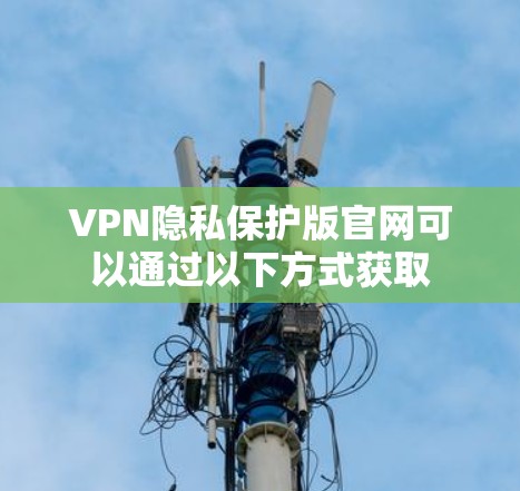 VPN隐私保护版官网可以通过以下方式获取 VPN隐私保护版官网可以通过以下方式获取
