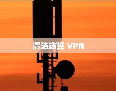 清洁选择 VPN 清洁选择 VPN