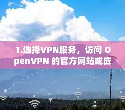 1.选择VPN服务,访问 OpenVPN 的官方网站或应用商店,选择一个可靠的 VPN 服务 1.选择VPN服务,访问 OpenVPN 的官方网站或应用商店,选择一个可靠的 VPN 服务