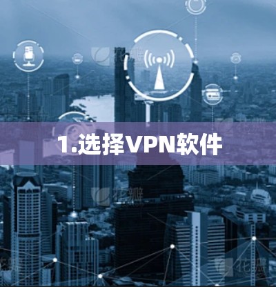 1.选择VPN软件