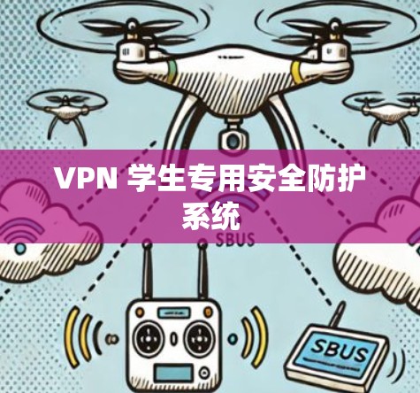 VPN 学生专用安全防护系统 VPN 学生专用安全防护系统