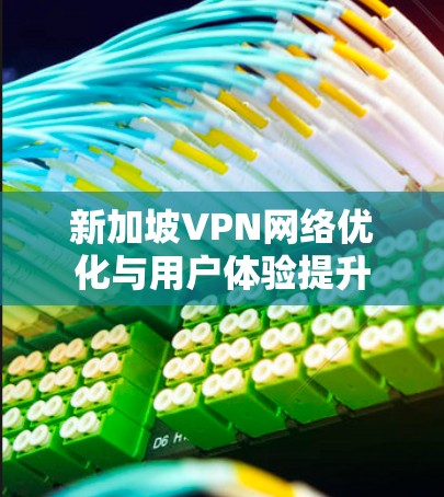 新加坡VPN网络优化与用户体验提升