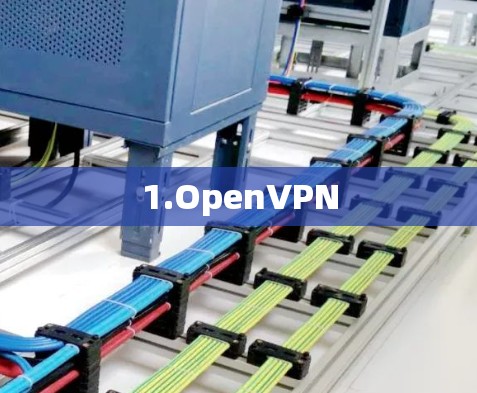 1.OpenVPN