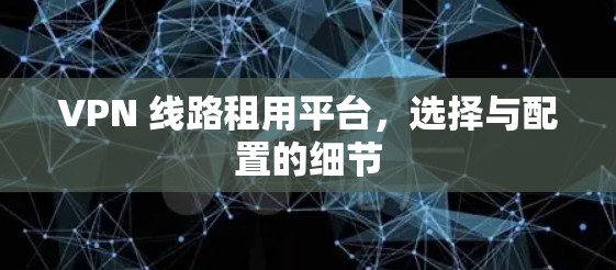 VPN 线路租用平台,选择与配置的细节 VPN 线路租用平台,选择与配置的细节