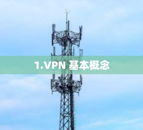 1.VPN 基本概念