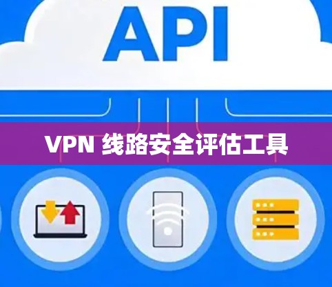 VPN 线路安全评估工具
