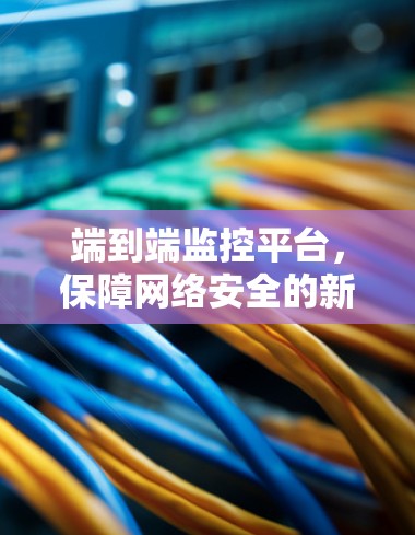 端到端监控平台，保障网络安全的新型守护者