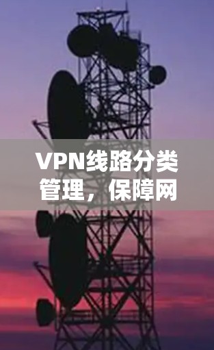 VPN线路分类管理，保障网络安全的创新解决方案