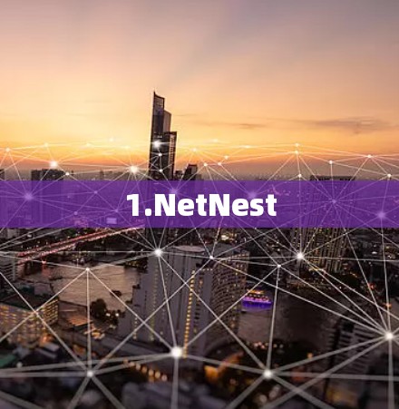 1.NetNest