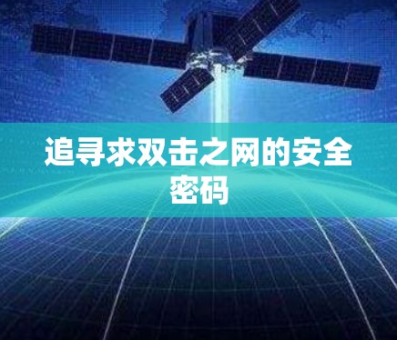 追寻求双击之网的安全密码 追寻求双击之网的安全密码