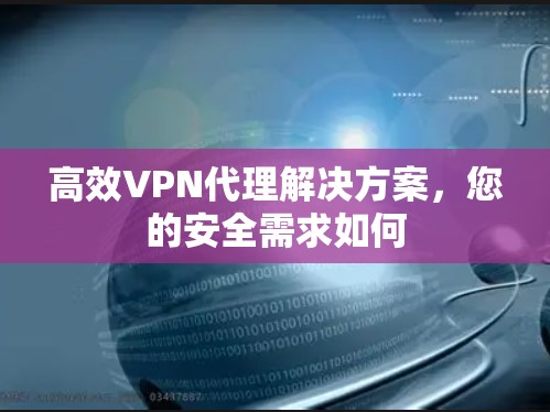 高效VPN代理解决方案，您的安全需求如何