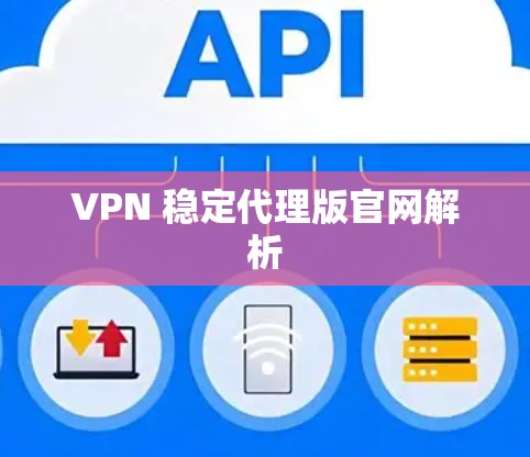 VPN 稳定代理版官网解析
