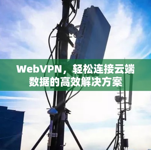 WebVPN,轻松连接云端数据的高效解决方案 WebVPN,轻松连接云端数据的高效解决方案
