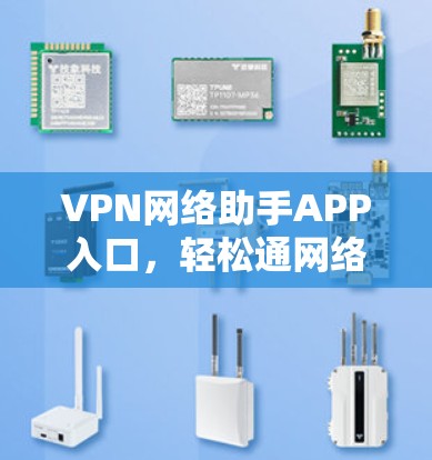VPN网络助手APP入口，轻松通网络的便捷工具