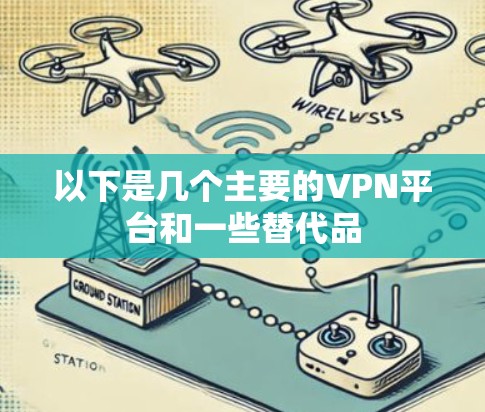 以下是几个主要的VPN平台和一些替代品 以下是几个主要的VPN平台和一些替代品