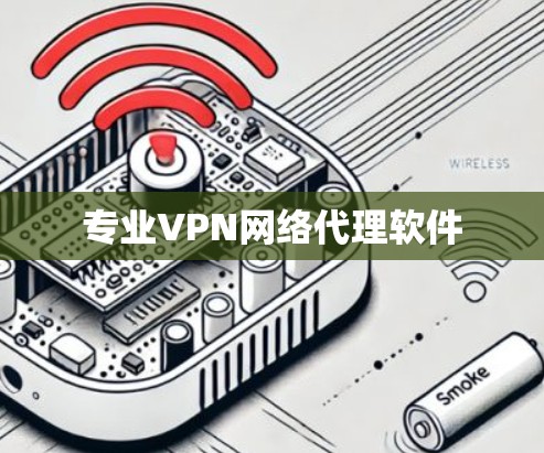 专业VPN网络代理软件