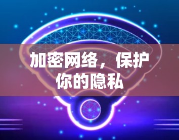 加密网络，保护你的隐私