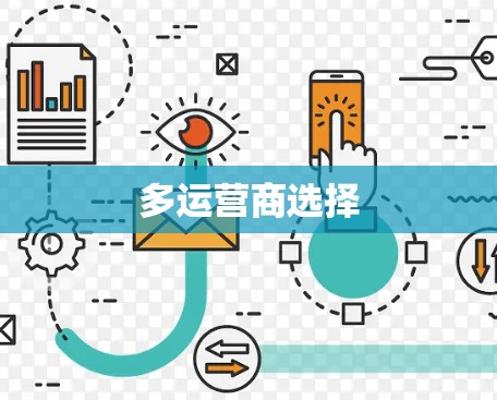 多运营商选择