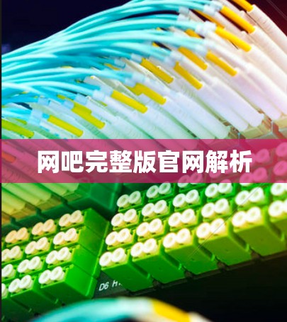 网吧完整版官网解析
