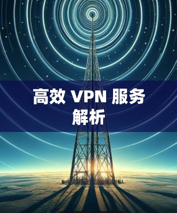 高效 VPN 服务解析 高效 VPN 服务解析