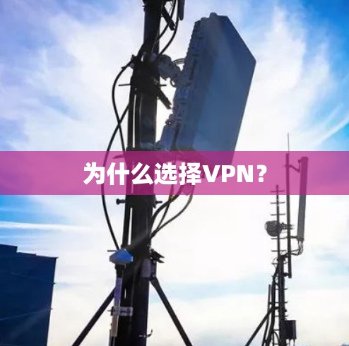 为什么选择VPN? 为什么选择VPN?