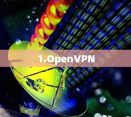 1.OpenVPN