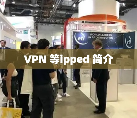 VPN 等ipped 简介