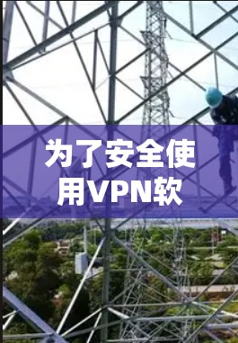 为了安全使用VPN软件，以下是一步步的建议